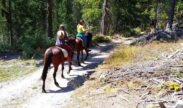 Private Horse Riding Tour to Perelik Peak, listing photo