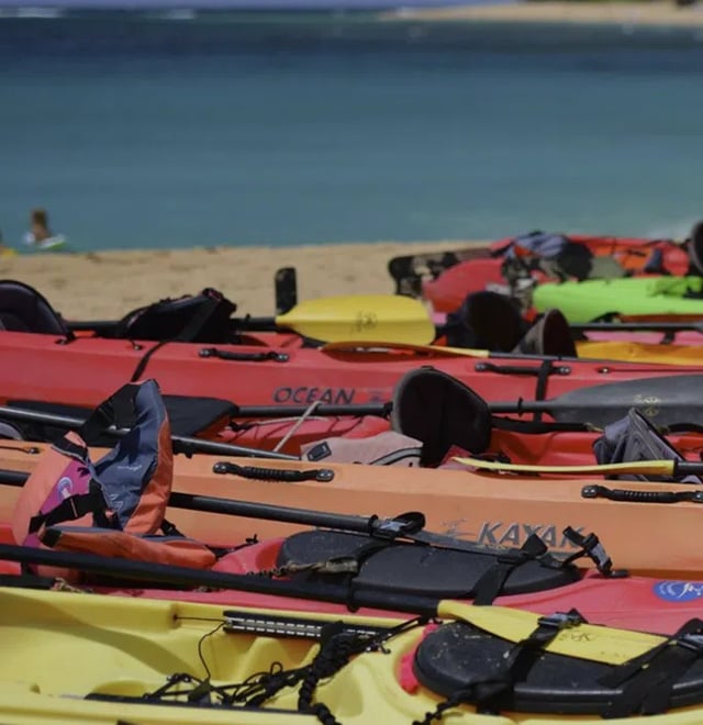 Kayak Rental in Pollensa Bay, listing photo