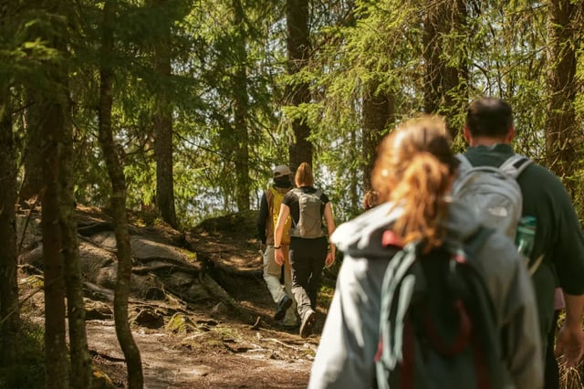 Holmenkollen Hiking Adventure in Oslo, listing photo