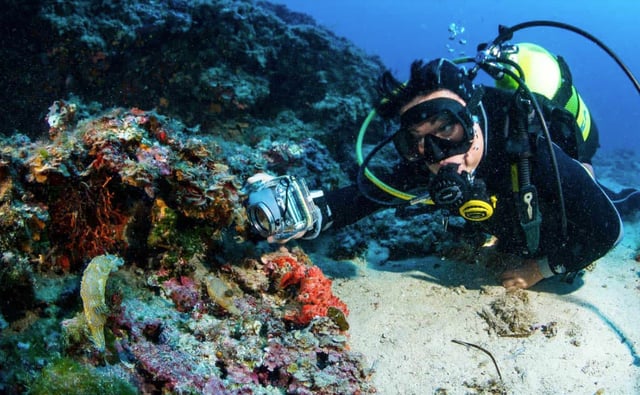 Advanced Open Water Diver Course in Santa Ponça, Mallorca, listing photo