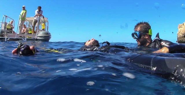 PADI Rescue Diver Course in Santa Ponça, Mallorca, listing photo