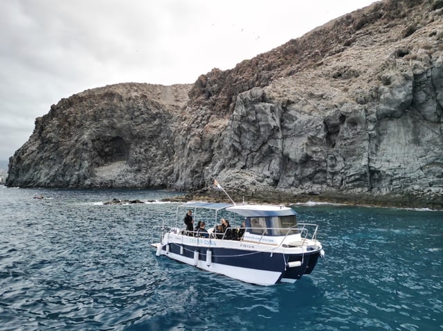 Boat Diving in Tenerife, listing photo