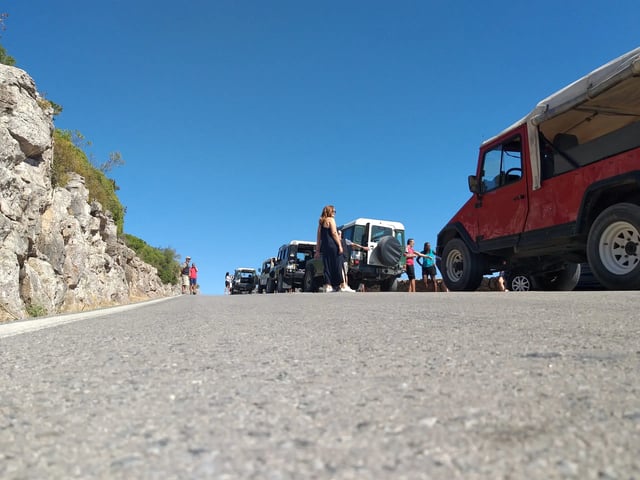 Dolphin Watching and Jeep Safari in Sado and Arrábida, listing photo