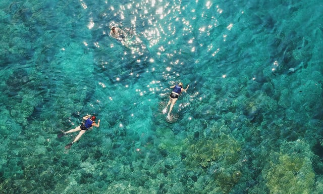 Lovina Dolphin Swim and Snorkel Sunrise with Scenic Viewpoints, listing photo