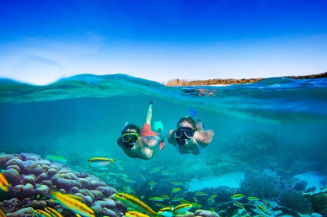 Cham Island Snorkelling Day Trip from Da Nang, listing photo