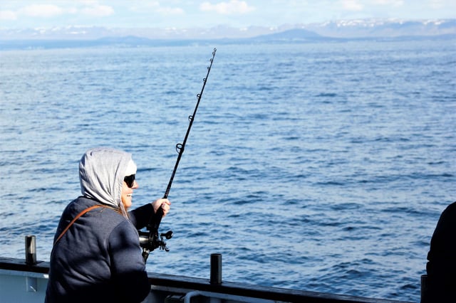 Sunset Fishing in Faxafloi Bay, listing photo