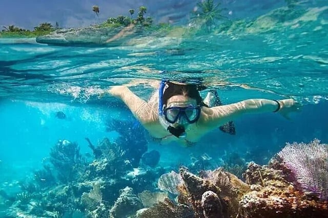 Snorkelling in Port City: Guided Session, listing photo