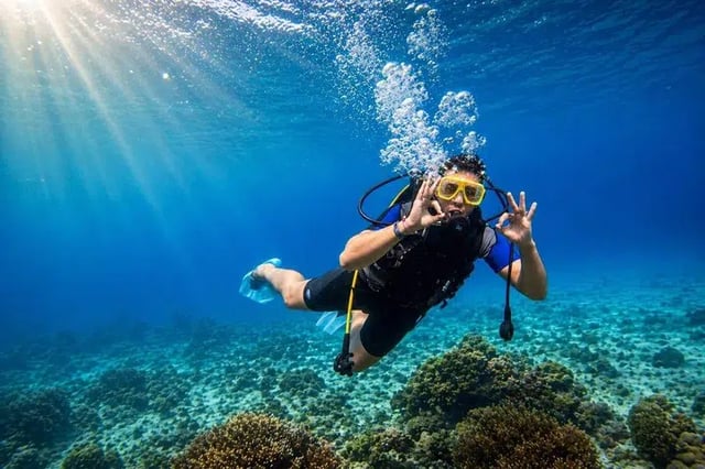 Diving and Snorkelling Boat Trip in Ras Mohammed and White Island, listing photo