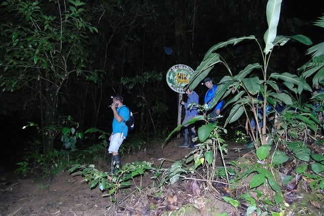Night Wildlife Hike in Drake Bay, listing photo
