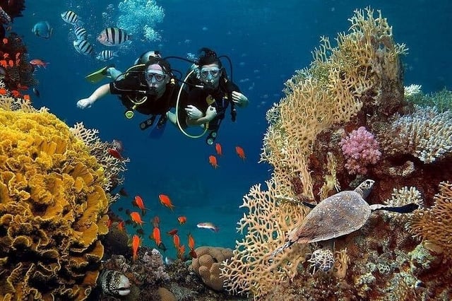 Antalya Scuba Diving and Snorkeling Tour with Lunch, listing photo