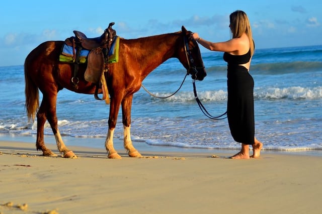 Punta Cana Beach Horseback Ride with Hotel Pickup, listing photo