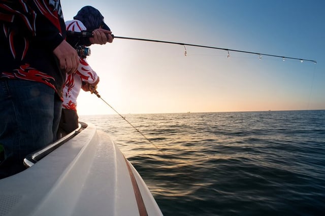 Fishing with Barbecue in Santos, listing photo
