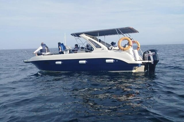 Whale Watching by Speed Boat in Mirissa, listing photo