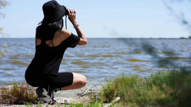 Boscoforte Nature Hike in Comacchio, listing photo