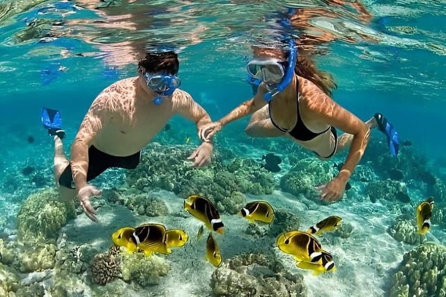 Mnemba Island Snorkel and Dolphin Tour in Zanzibar, listing photo