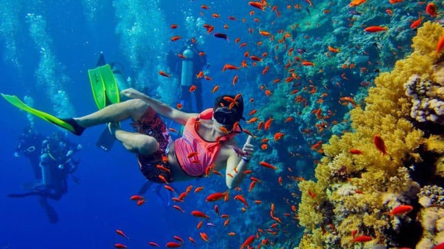 Snorkelling at Mnemba Island, Zanzibar, listing photo