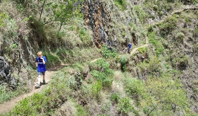 Inca Jungle Trail to Machu Picchu Hiking and Biking Tour, listing photo