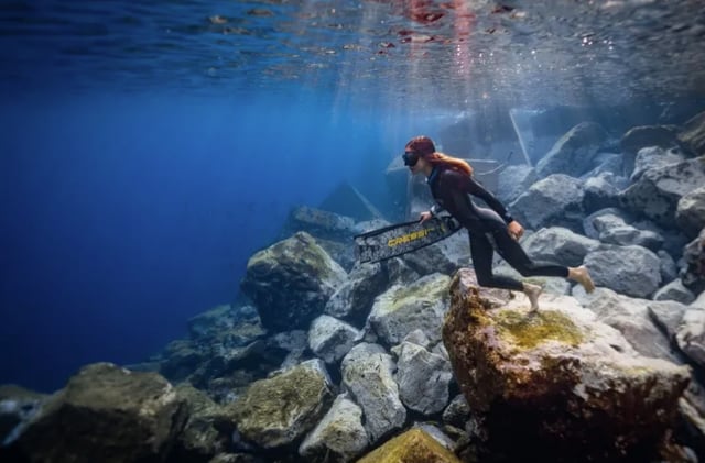 Surf and Freediving Experience in Caleta de Famara, Lanzarote, listing photo