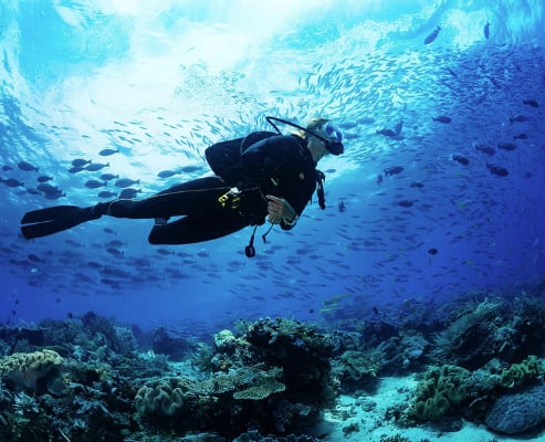 Surf, Scuba Diving and Wingfoil Experience in Caleta de Famara, Lanzarote, listing photo