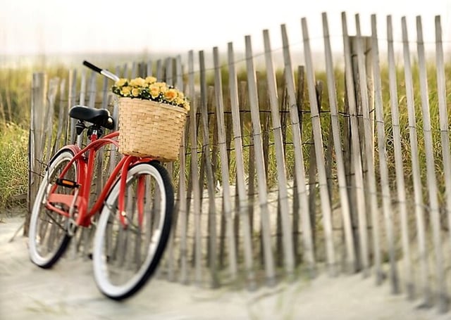 Lido Bike Tour: Beaches, Belle Époque & Venice Film History, listing photo