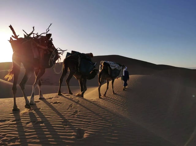 Desert Camel Trekking from Marrakech to Erg Ezzahar, listing photo