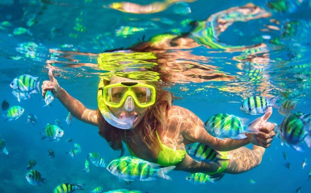 Lovina Family Adventure Dolphins, Sunrise and Snorkeling, listing photo