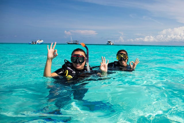 Dolphin Tour with Snorkelling in Kizimkazi, listing photo