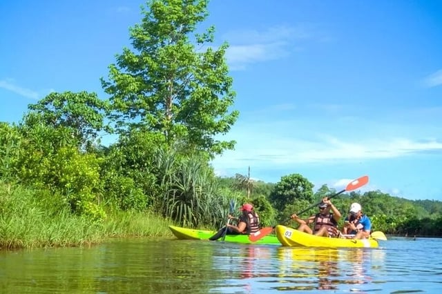 4-Hour Private Kayaking Experience in Galle, listing photo