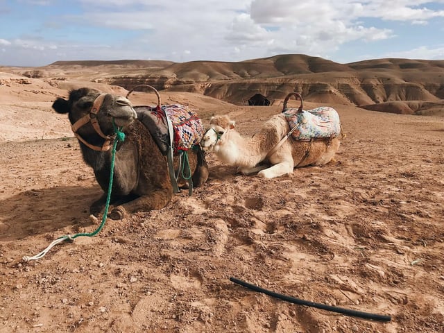 Overnight Atlas Mountains Hike and Agafay Desert Camel Ride, listing photo
