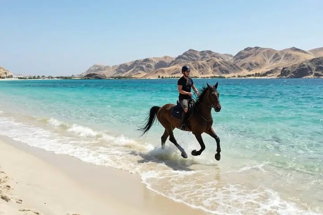 Horse Riding on Nabq Beach in Sharm El Sheikh, listing photo