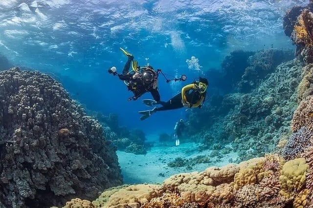 Scuba Diving and Snorkeling Trip in Side, listing photo