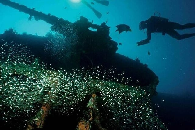 Scuba Diving in Pasikudah: Three Hour Guided Dive, listing photo