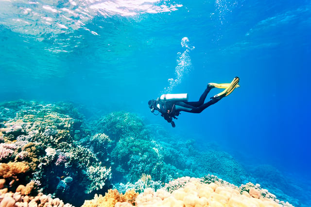 Scuba Diving Discovery near Mancora, listing photo