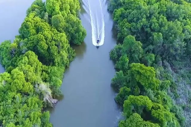 Boat Riding in Negombo: Lagoon Wildlife Cruise, listing photo