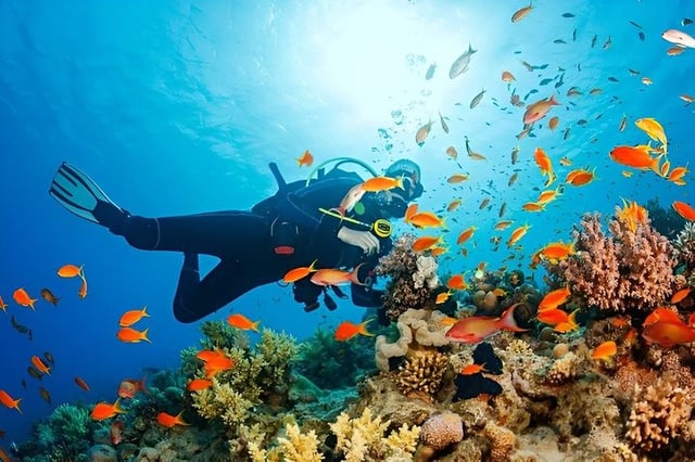 Diving and Snorkelling Day Trip by VIP Boat in Hurghada, listing photo