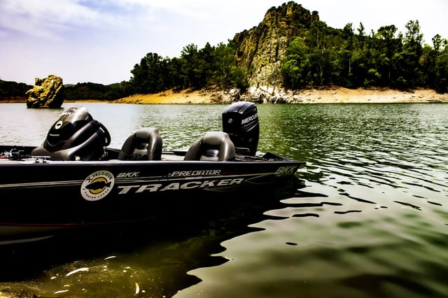 Week-Long Guided Predator Fishing Trip in Extremadura, listing photo