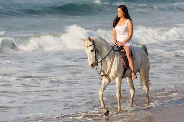 Beach Horse Riding in Hurghada – 1 or 2 Hours with Swimming Option, listing photo