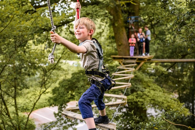 ‘Treetop Trek’ High Ropes Adventure in Windermere, listing photo