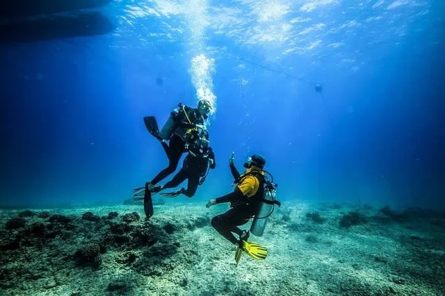 PADI Open Water in Hurghada, listing photo