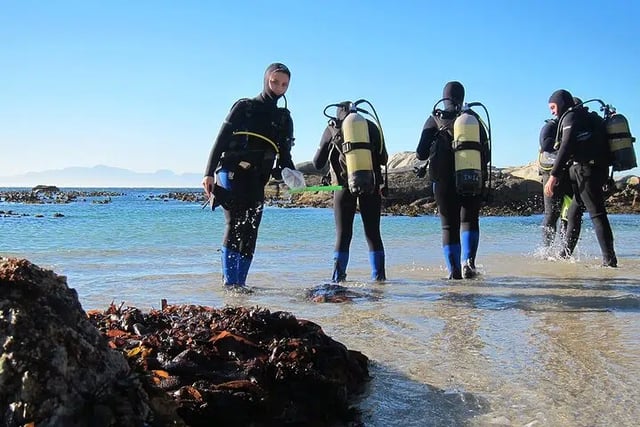 Intro Beach Dive with Transfer from Sharm El Sheikh, listing photo