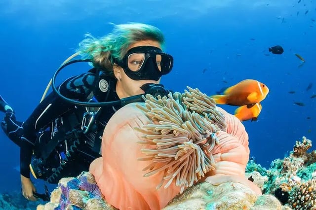 Scuba Diving Adventure in Dubai, listing photo