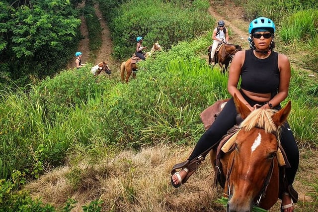 Horseback Ride in St Kitts, listing photo