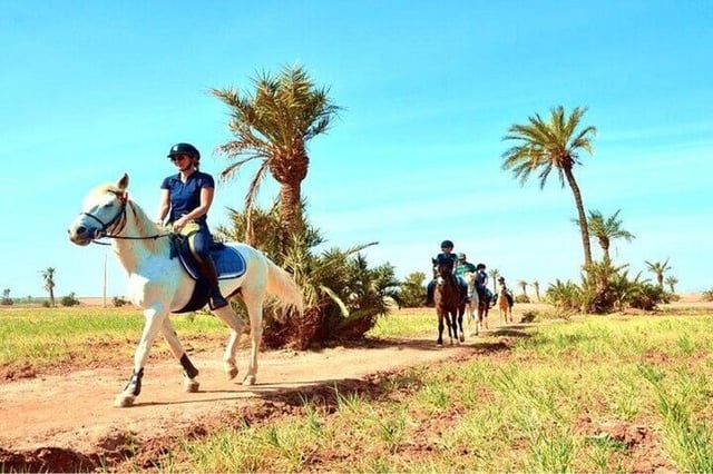 One Hour Horse Ride in the Palmeraie, listing photo