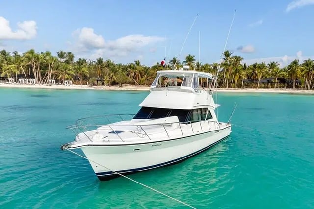 Private Yacht to Saona Island with Snorkeling in Punta Cana, listing photo