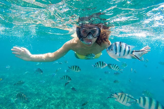 Private Speedboat Snorkel in Sharm El Sheikh, listing photo