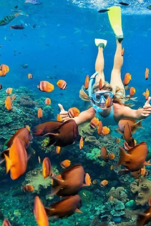 Ras Mohamed Snorkelling by Boat in Sharm El Sheikh, listing photo