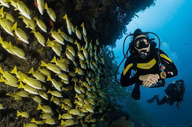PADI Open Water in Marsa Alam, listing photo