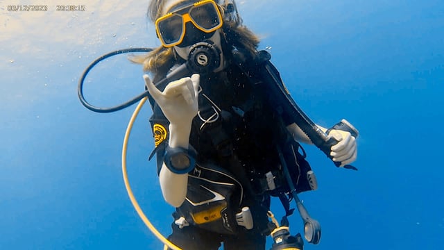 PADI Open Water Diver Course with E-Learning in Bonaire, listing photo