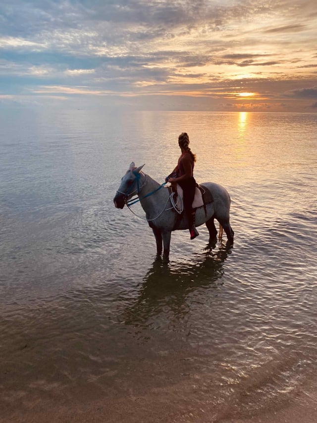 Beach Horseback Ride with Swim Stop in Placencia, listing photo