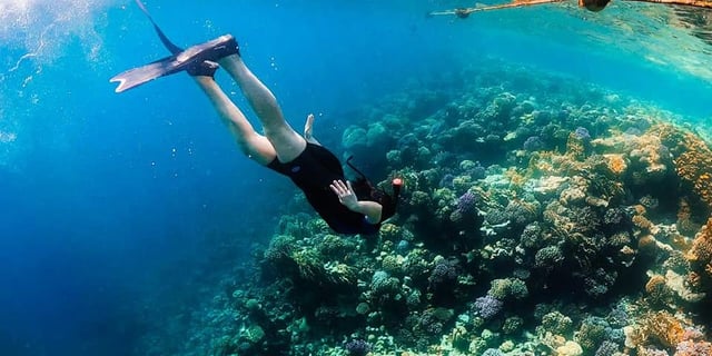 Sharm El Naga Snorkelling from Hurghada, listing photo